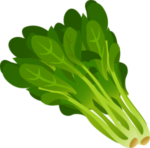 food-spinach-800px